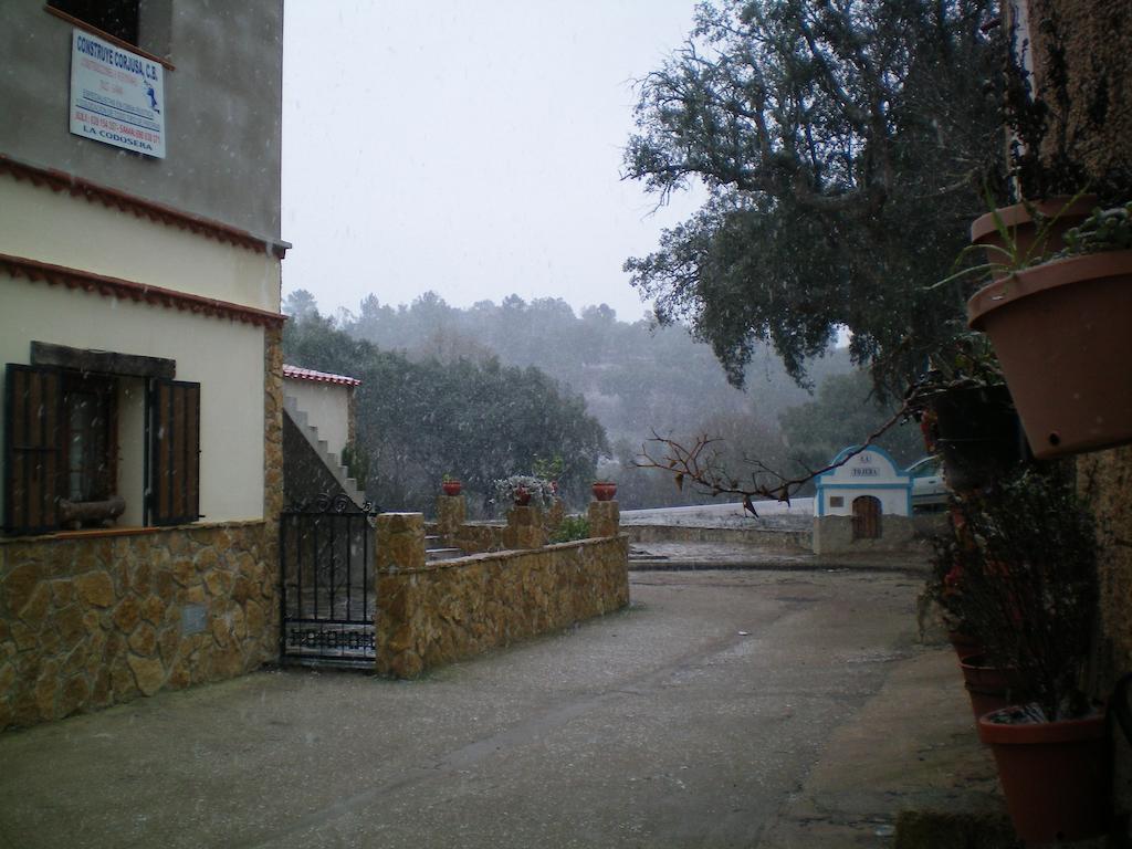 Casa Rural Sierra San Mamede La Codosera Eksteriør billede