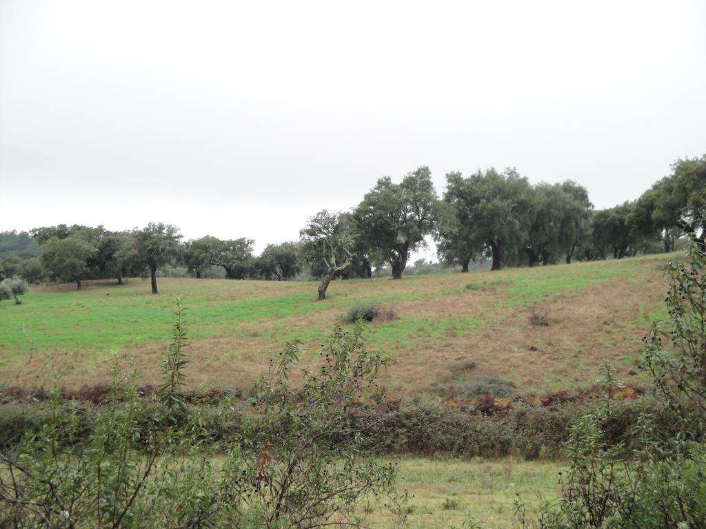 Casa Rural Sierra San Mamede La Codosera Eksteriør billede