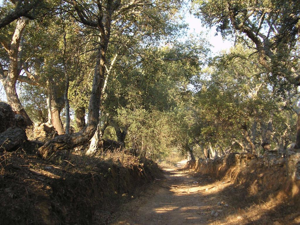 Casa Rural Sierra San Mamede La Codosera Eksteriør billede
