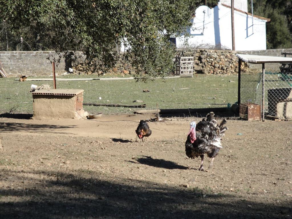 Casa Rural Sierra San Mamede La Codosera Eksteriør billede