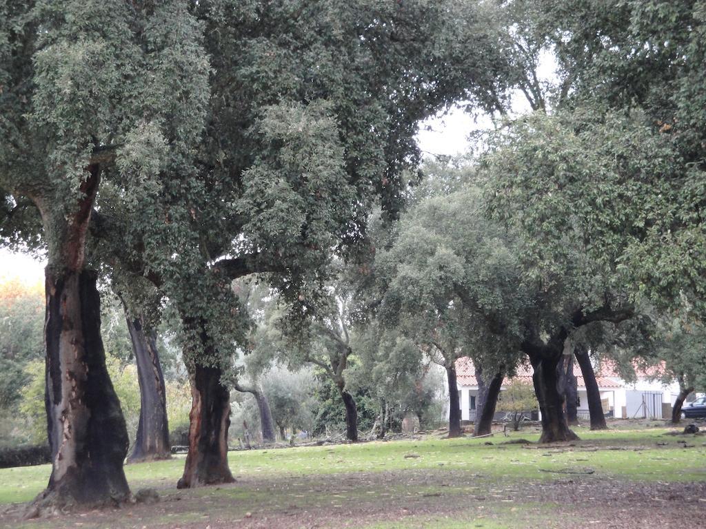 Casa Rural Sierra San Mamede La Codosera Eksteriør billede